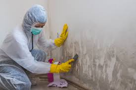 Best Mold Prevention Services  in Gardner, KS